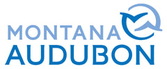 Montana Audubon Citizen Science
